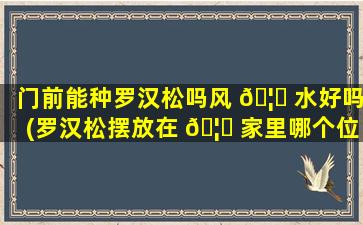 门前能种罗汉松吗风 🦋 水好吗(罗汉松摆放在 🦆 家里哪个位置好)